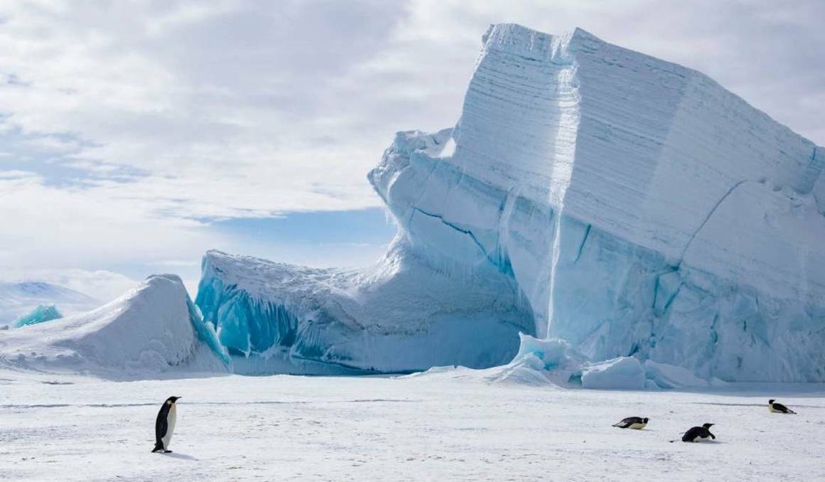 Tasmanians get a chance to see Antarctica from Hobart