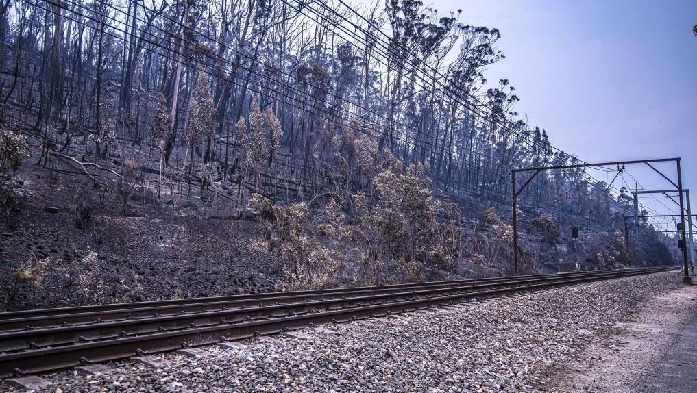 TRACK CLOSED: Bushfire damaged around train lines in the Blue Mountains during January. Photos: SYDNEY TRAINS