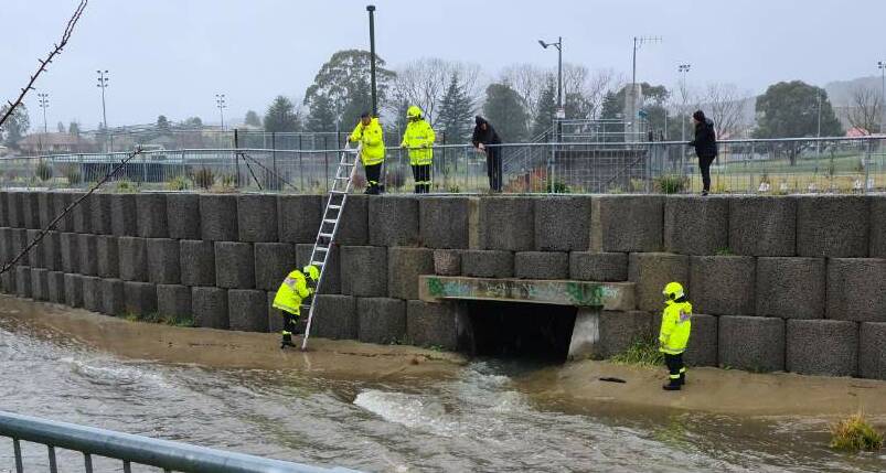 RISKY BUSINESS: Rescuers on site in a stormwater channel working to save a young, female eastern grey kangaroo. Photo: LUCY HOY