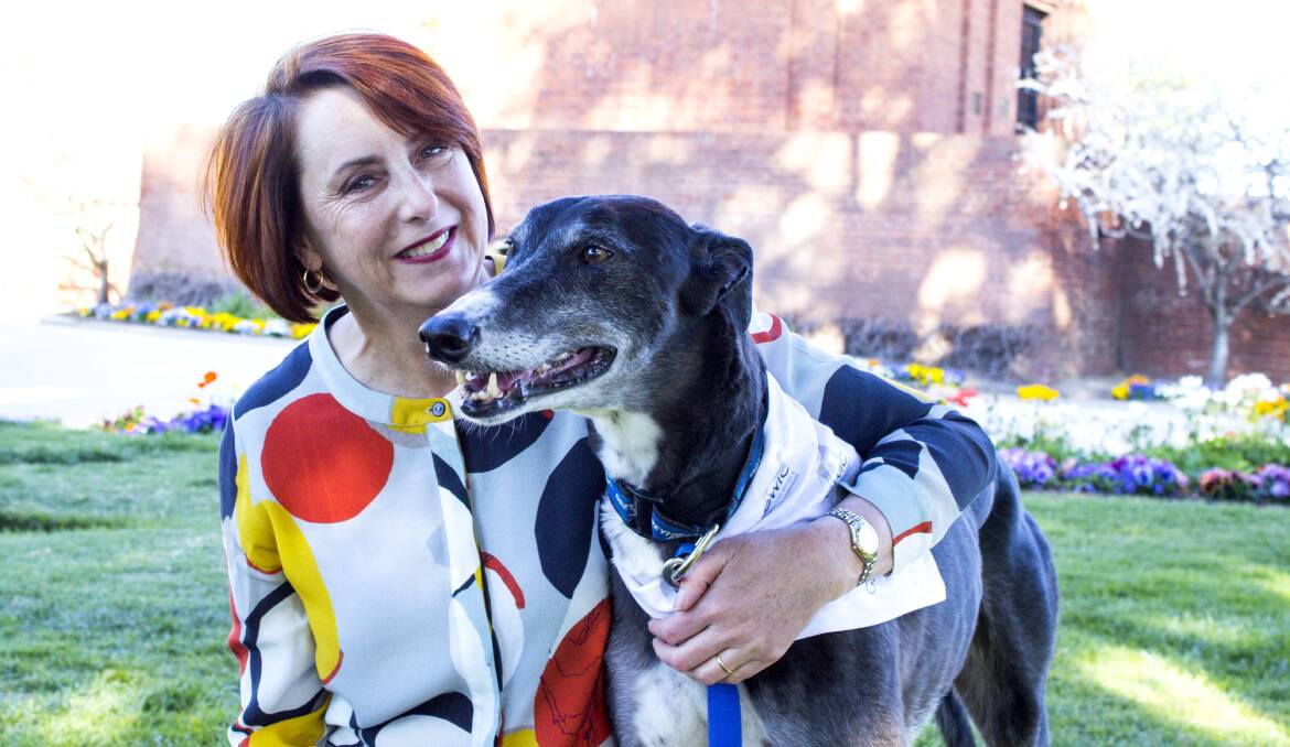 WELFARE FIRST: Greyhound Welfare and Integrity Commission chief executive officer Judy Lind with retired racer Roy. Photo: SUPPLIED