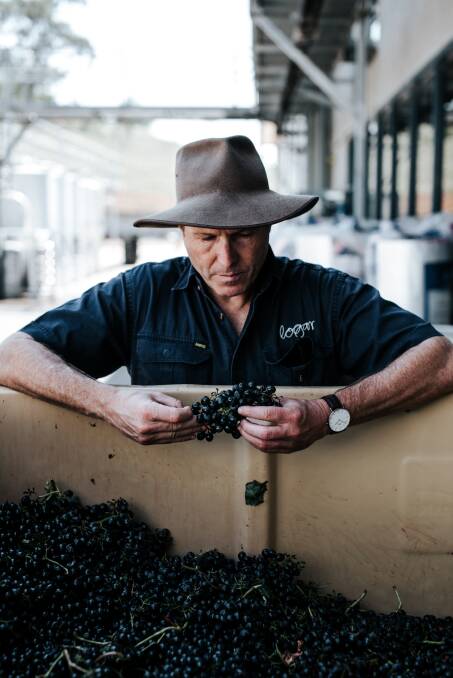 NEW SEASON: Logan Wines owner Peter Logan at his vineyard in Mudgee. Photo: SUPPLIED 091418logan