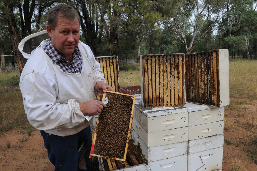 MAKING IT TOUGH: Western Plains Apiarists’ Association president Bryn Jones says "funny honey" is a problem. Photo: SUPPLIED 090418honey