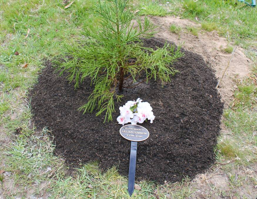 TRIBUTE: Lithgow Garden Club plant a tree in memory of the late Lillian Gummow. Picture: SUPPLIED