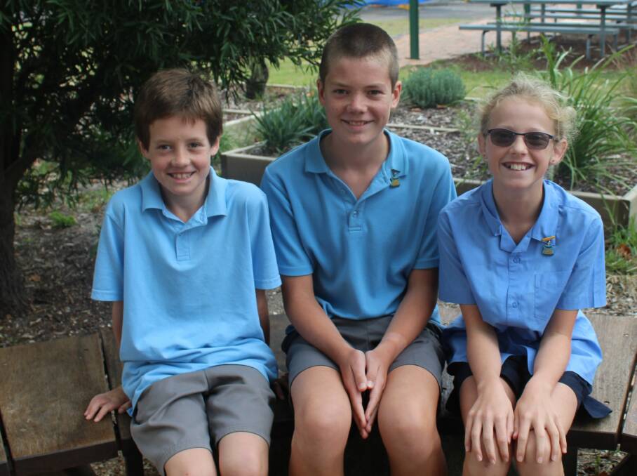 STATE SWIMMERS: Charlie Evans, Alex Evans and Amy Kennedy are headed for Homebush. Picture: SUPPLIED.
