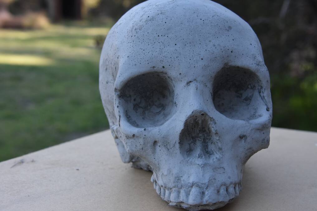 RAW: A concrete skull that entrants were given to decorate. Photo: ALANNA TOMAZIN