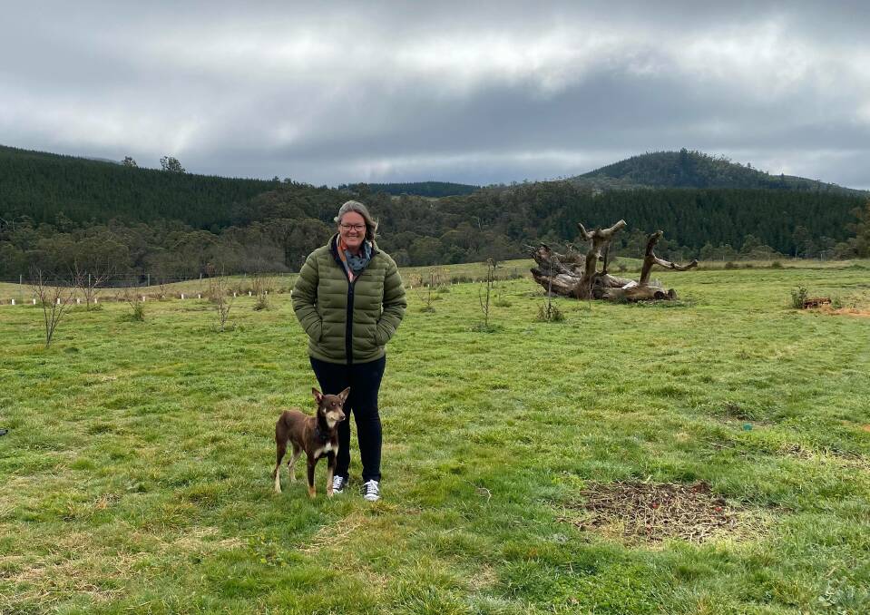 RURAL LIFE: Maree with her best mate Herb taking in the view. Photo: ALANNA TOMAZIN.
