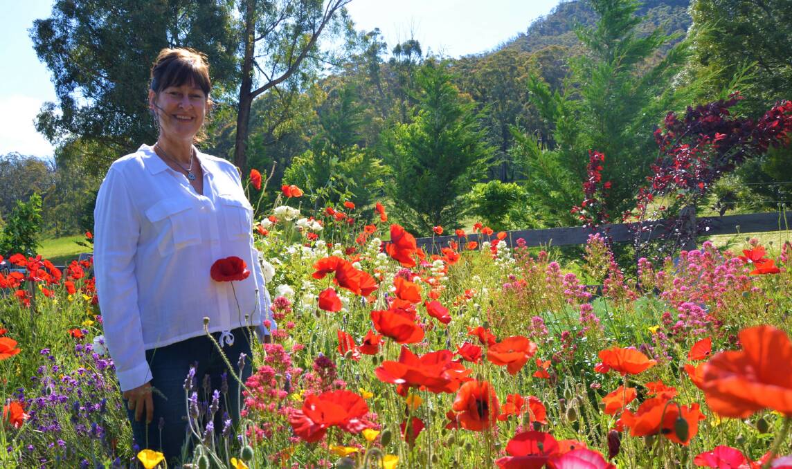 VIBRANT: Hartley's Jennifer Edwards is bringing joy with her colourful garden. Photo: ALANNA TOMAZIN.