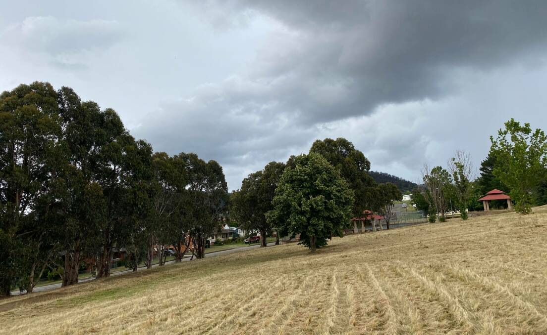 MAINTENANCE: Lithgow's Emora Park was recently mowed after it received some attention on social media. Photo: ALANNA TOMAZIN.