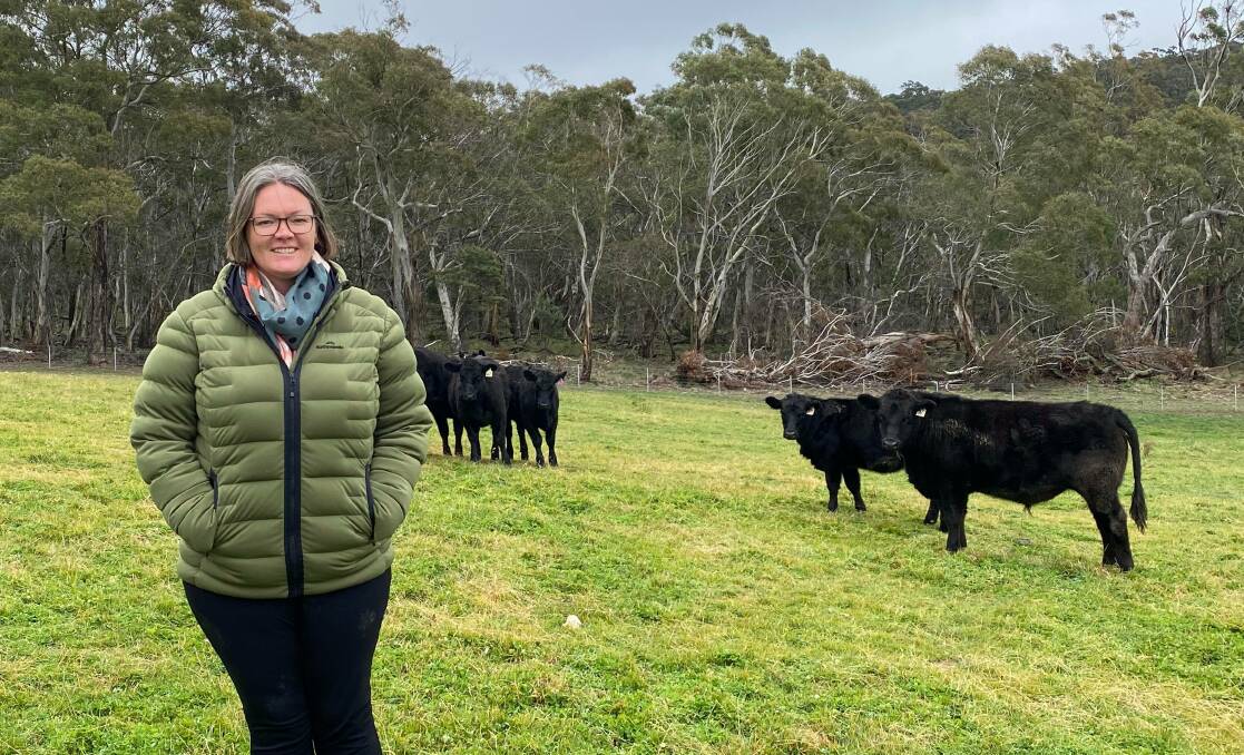HOMEGROWN BEEF: Honeysuckle Produce owner Maree Evans with some of her cattle. Photo: ALANNA TOMAZIN.