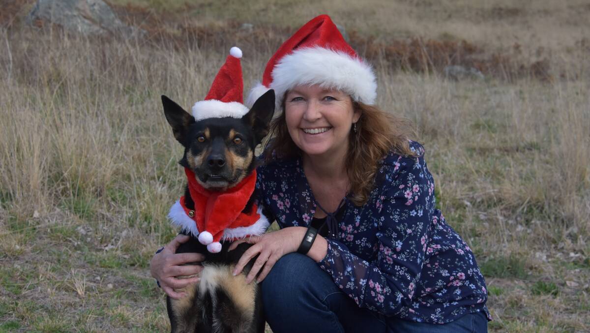 HAPPY HOWLIDAYS: Rocky and his owner Karen Edwards getting into the Christmas spirit. Photo: ALANNA TOMAZIN