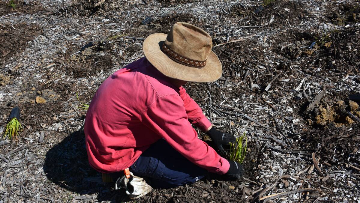 WORKSHOP: What do you want from Landcare?: Picture: ALANNA TOMAZIN.