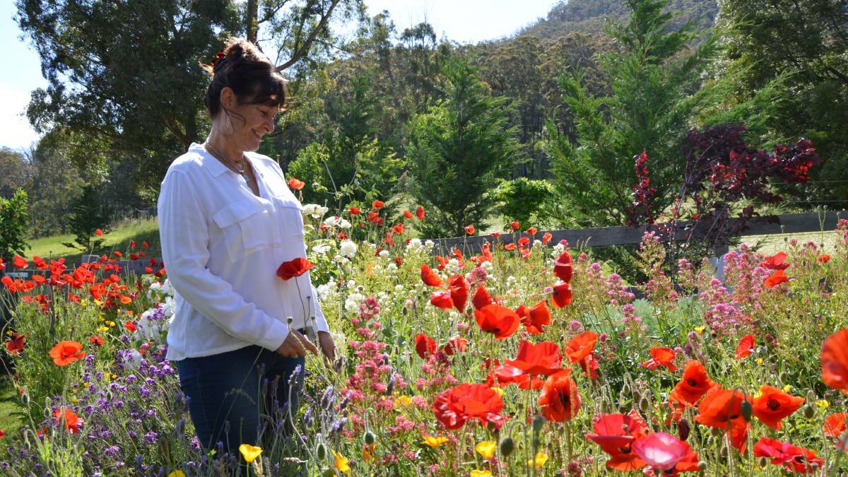 WORKING WITH NATURE: Jennifer Edwards loves to showcase her beautiful garden - Hartvale. Picture: ALANNA TOMAZIN