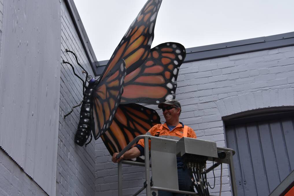 NEW: Artist Tim Johnman with the new butterfly on Main Street. Picture: KIRSTY HORTON. 