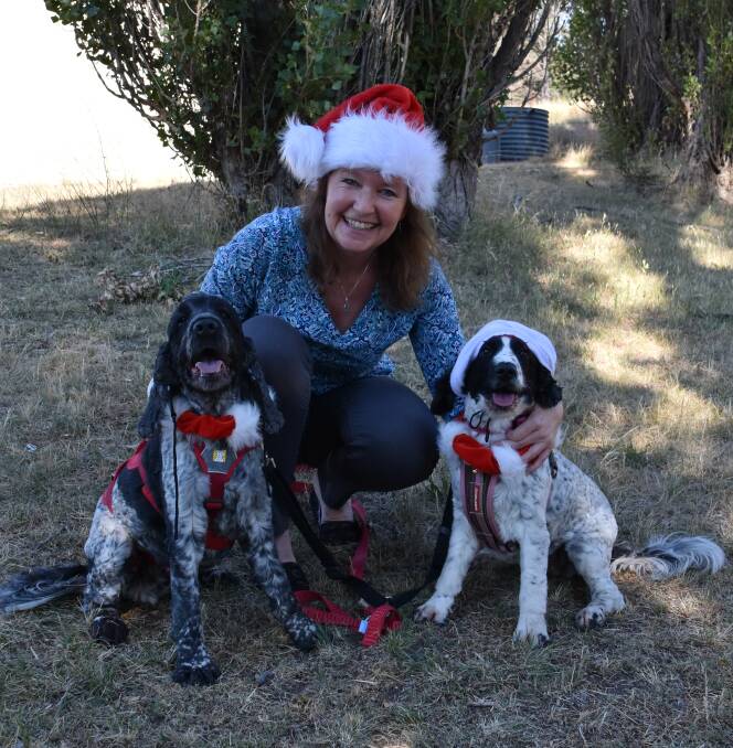 SANTA PAWS: Photographer Karen Edwards with furry friends Comet and Hayley. Picture: ALANNA TOMAZIN.