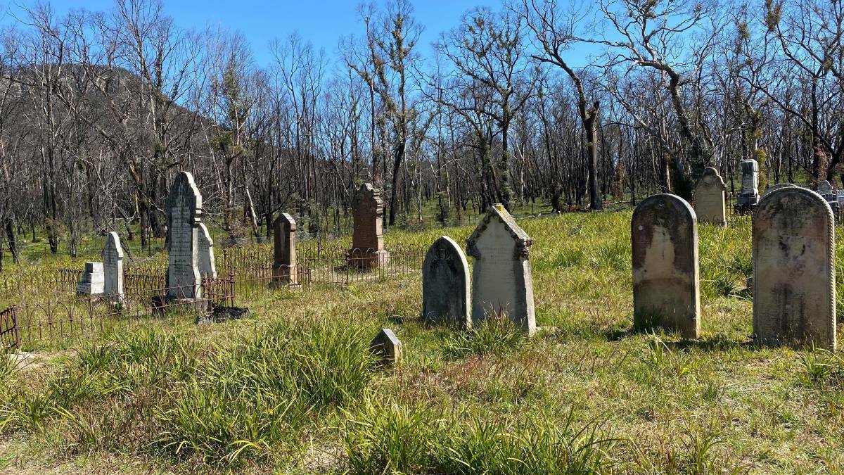 SEARCHING FOR THE UNKNOWN: There is a possibility for several forgotten graves. Photo: ALANNA TOMAZIN