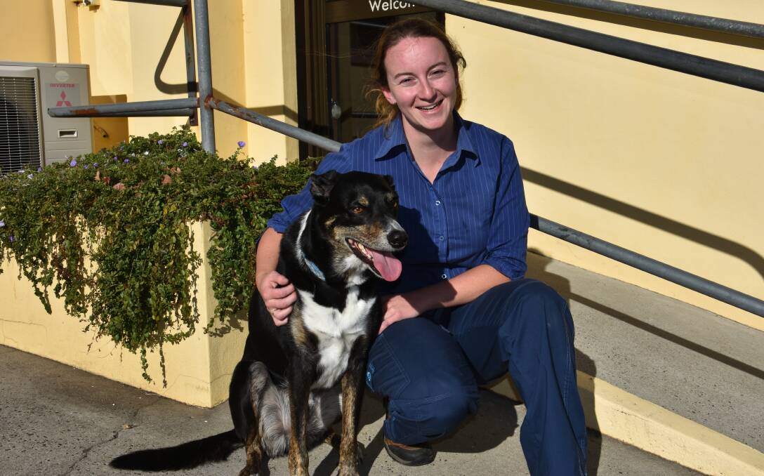 CARING FOR OUR FURRY FRIENDS: Lithgow Veterinary Hospital vet nurse Erin Stevenson with her rescue Kelpie cross and best friend Guinea. Picture: ALANNA TOMAZIN.