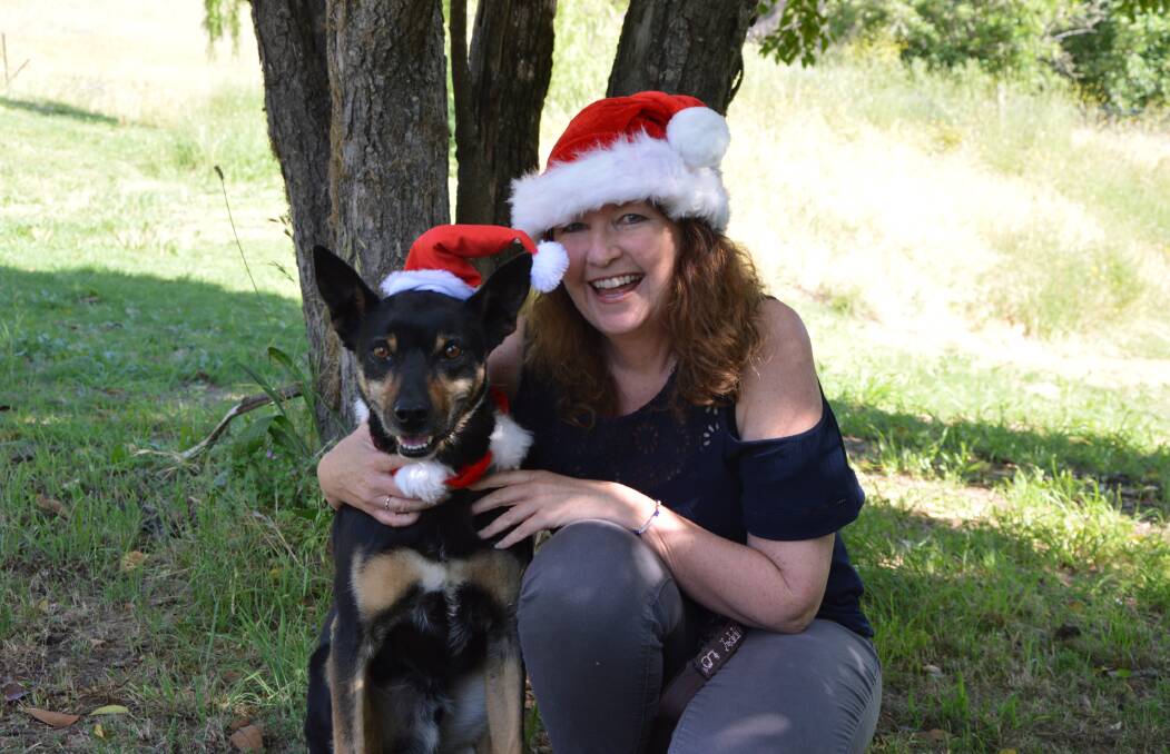 SANTA PAWS: Rocky is getting into the Christmas spirit with owner and photographer Karen Edwards. Photo: ALANNA TOMAZIN.