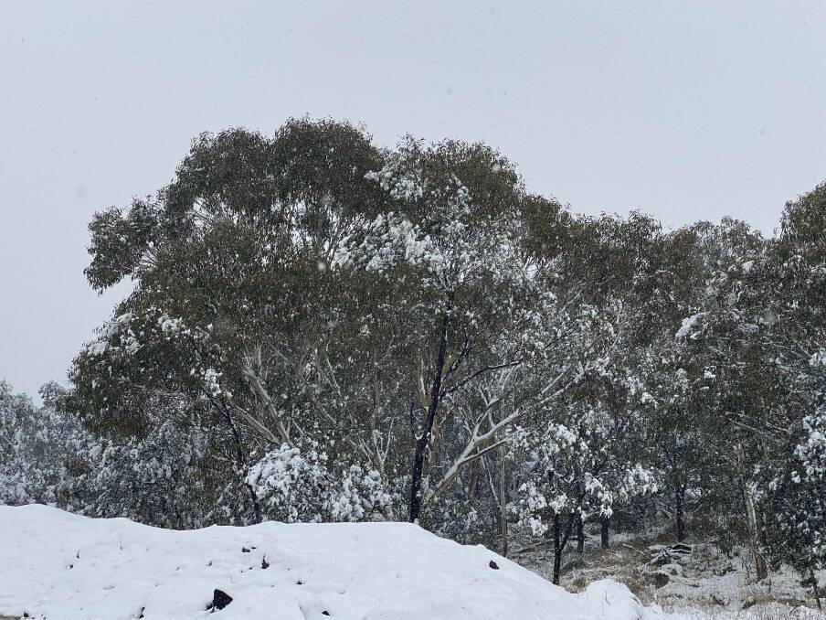 WHITE OUT: Alpine conditions were experienced on multiple roads around the Lithgow region. Photo: ALANNA TOMAZIN