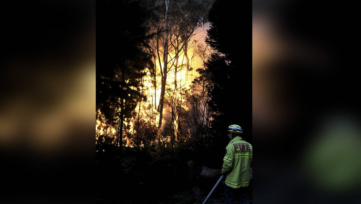 A bush fire in January threatened homes in the Vale of Clywdd. Photo: Laura Pillans
