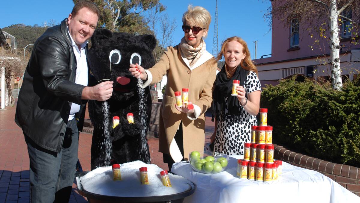 DROP THE SALT LITHGOW: Making for a healthier lifestyle are Nu-Tek’s Jason Cummings and Mary-Anne Land with Lithgow mayor Maree Statham and the Lithgow Black Panther. Photo: JEFF GEDDES 	lm081413salt